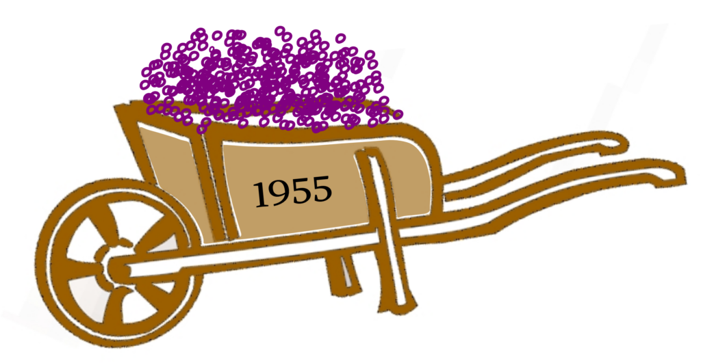  Karneval 2025 wieder im Festzelt – Goxel.de Illustration 